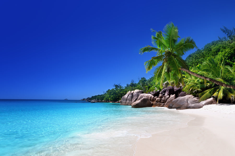 Praslin Island Sea Photograph Seychelles Print 100% Australian Made