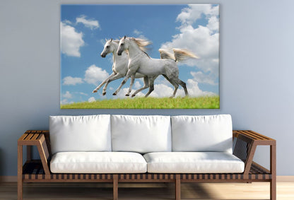 Running White Horse Couple Print 100% Australian Made