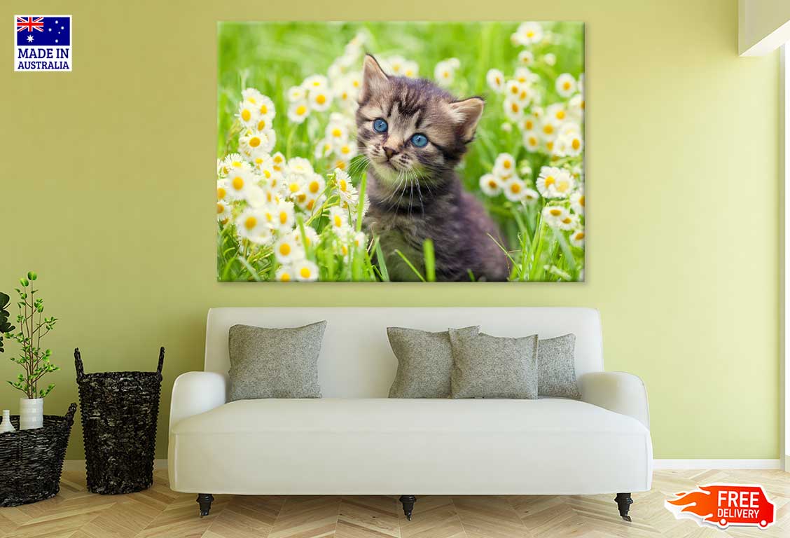 Little Kitten in Flowers View Photograph Print 100% Australian Made