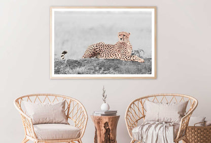 Leopard B&W Landscape View Photograph Home Decor Premium Quality Poster Print Choose Your Sizes