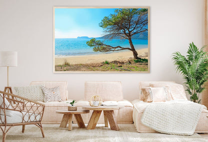 Pine Tree on Mugoni Sea Photograph Sardinia Home Decor Premium Quality Poster Print Choose Your Sizes