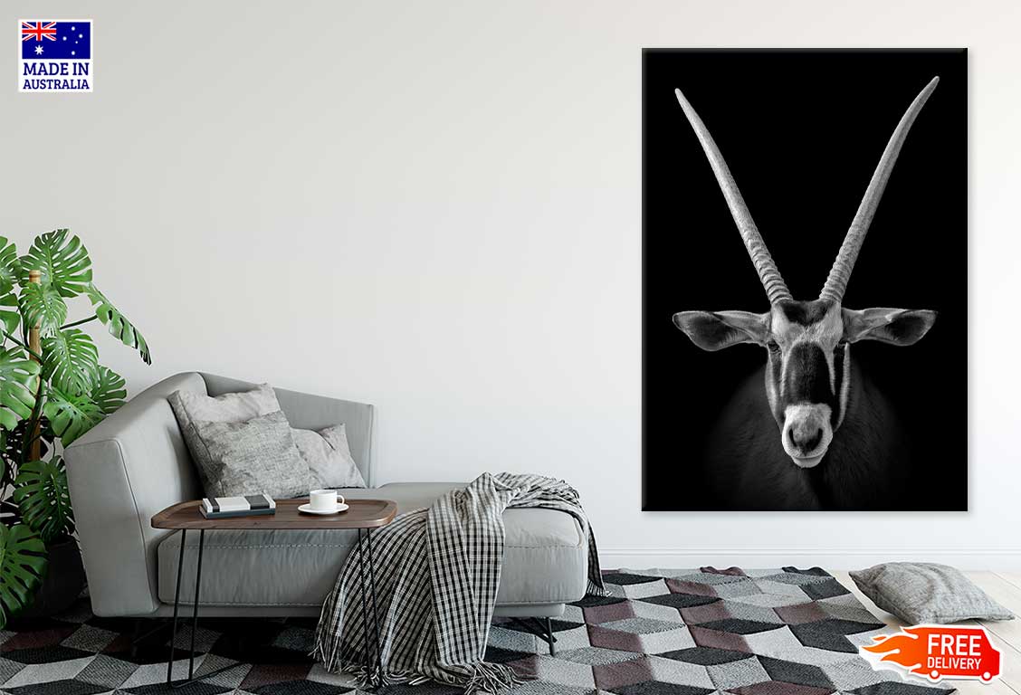 African oryx on Dark B&W View Photograph Print 100% Australian Made