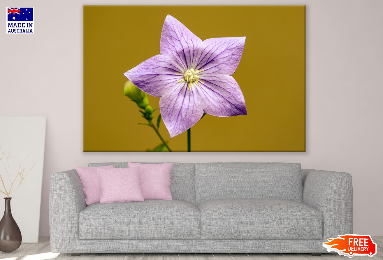 Pink Belllower Closeup Photograph Print 100% Australian Made