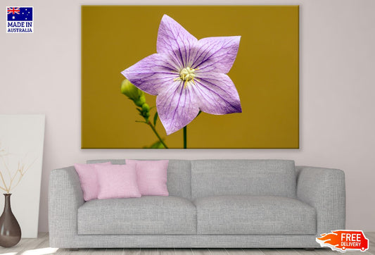 Pink Belllower Closeup Photograph Print 100% Australian Made