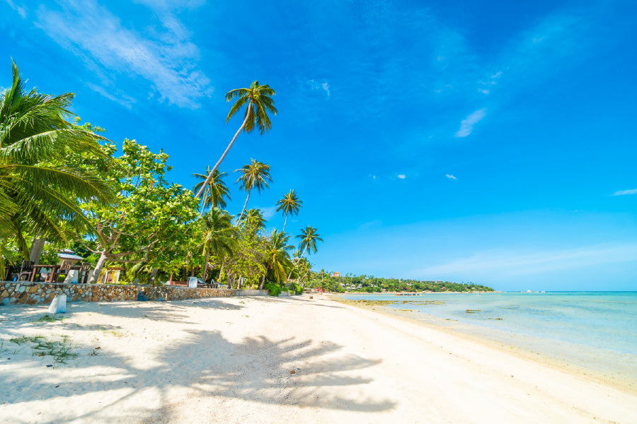 Sandy Sea with Palm Trees View Photograph Home Decor Premium Quality Poster Print Choose Your Sizes