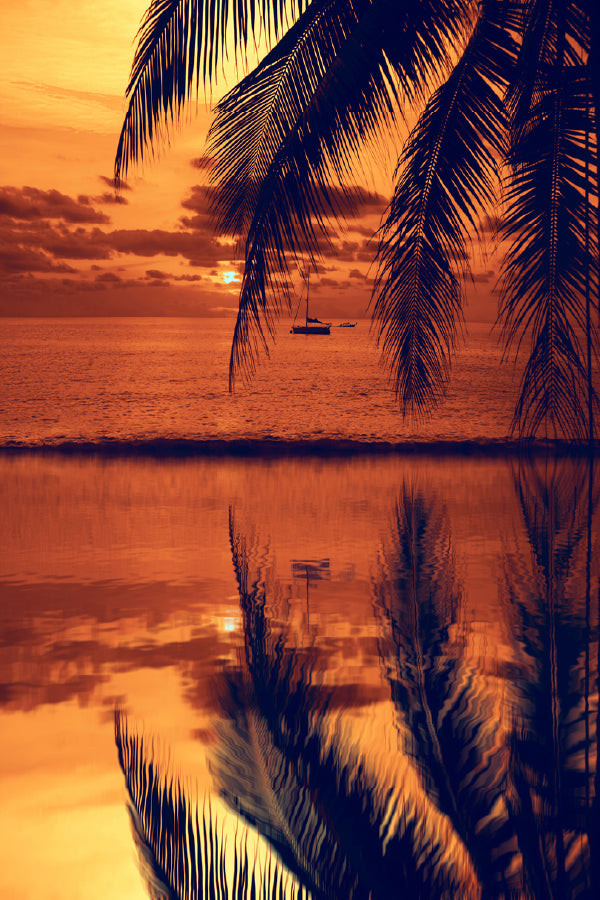 Sea Sunset Palm Leaves & Boat Photograph Print 100% Australian Made