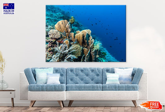 Bunaken National Marine Park View Photograph Print 100% Australian Made