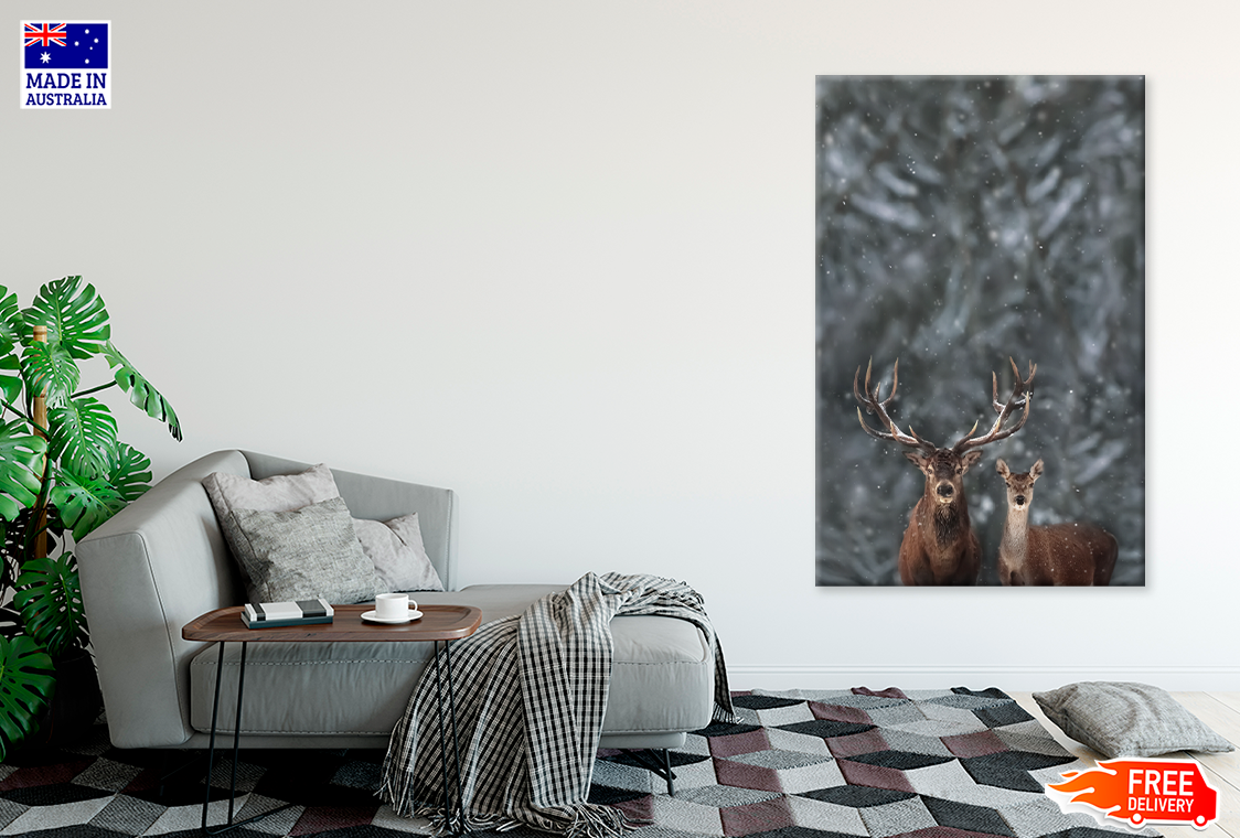 Deers In Forest & Winter View Photograph Print 100% Australian Made