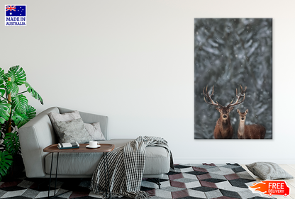 Deers In Forest & Winter View Photograph Print 100% Australian Made