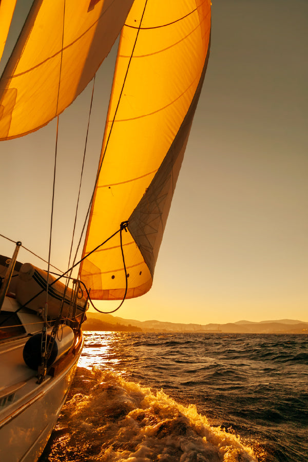 Sailboat Regatta at Sunset Ocean View Photograph Home Decor Premium Quality Poster Print Choose Your Sizes