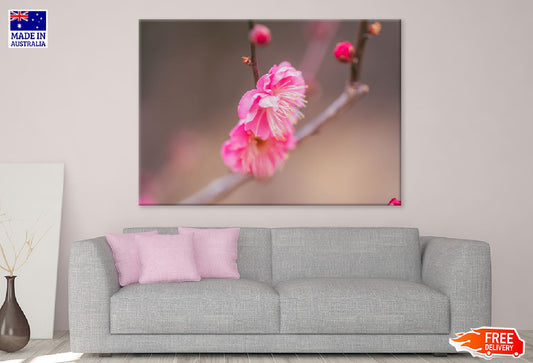 Pink Pulm Flowers Closeup View Photograph Print 100% Australian Made