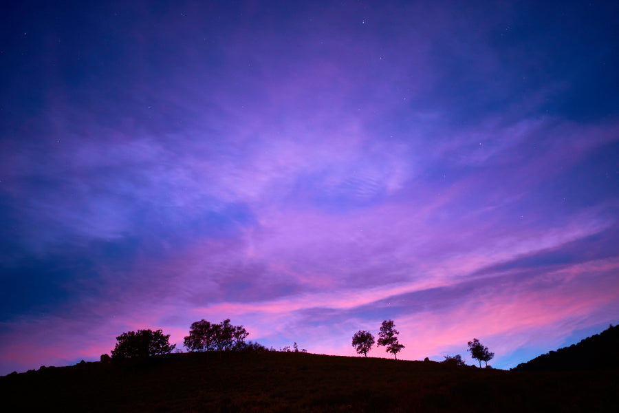 Trees on Hill Purple Sunset Sky Scenery Photograph Print 100% Australian Made