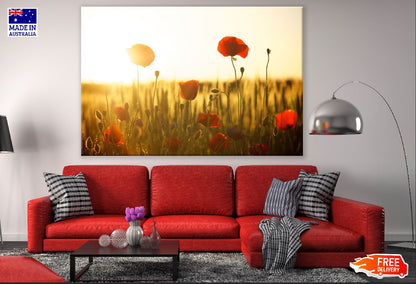 Red Poppy Flowers Sunset Photograph Print 100% Australian Made