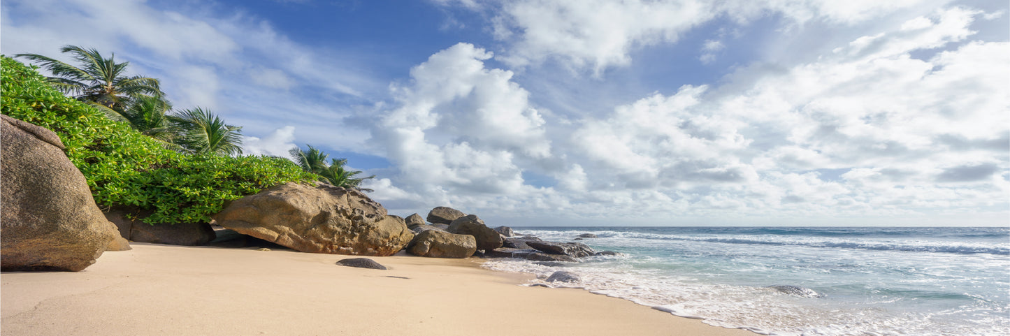 Panoramic Canvas Wild Tropical Beach View Photograph High Quality 100% Australian Made Wall Canvas Print Ready to Hang