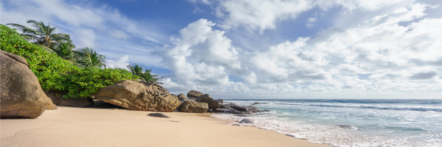 Panoramic Canvas Wild Tropical Beach View Photograph High Quality 100% Australian Made Wall Canvas Print Ready to Hang