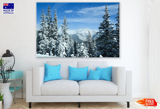 Colorado Mountain Snow Trees Photograph Print 100% Australian Made