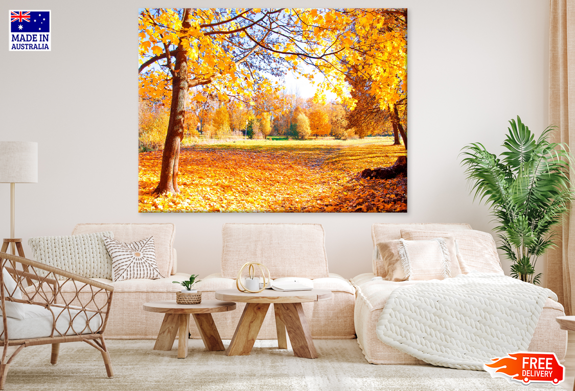 Autumn Trees & Sunset View Photograph Print 100% Australian Made