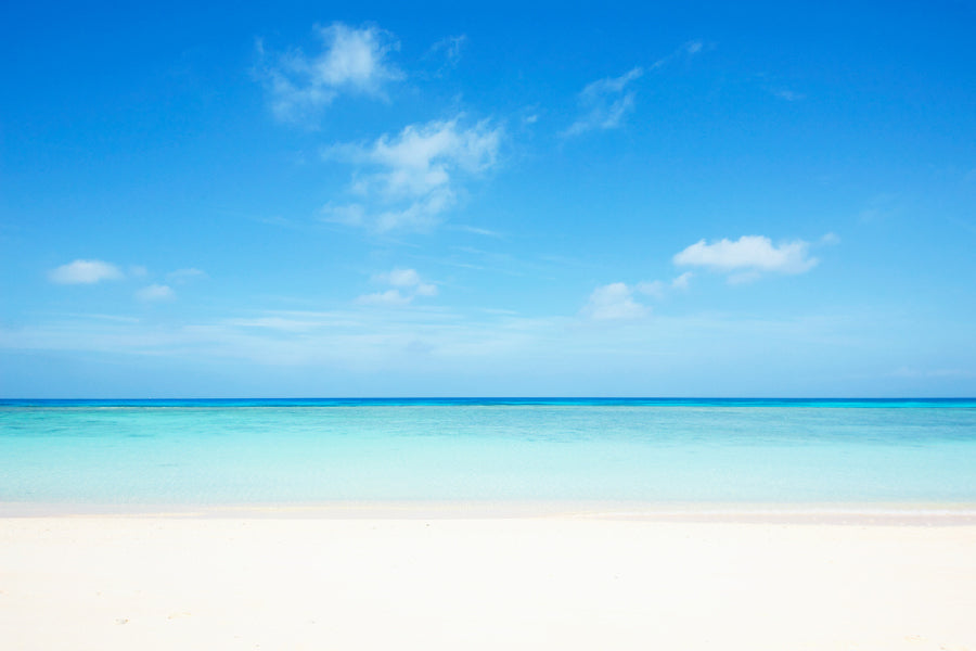 Bella Home Tropical Beach View With Sky Print Canvas Ready to hang