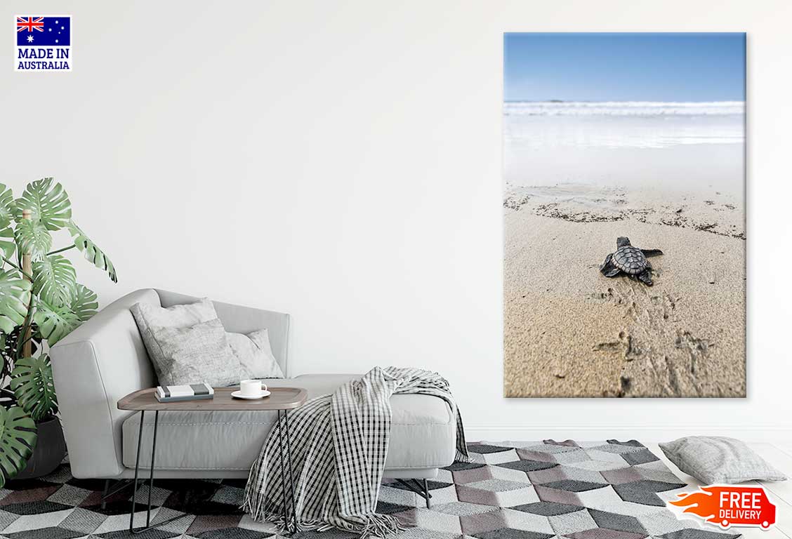 Sea Turtle on Beach Sand View Photograph Print 100% Australian Made
