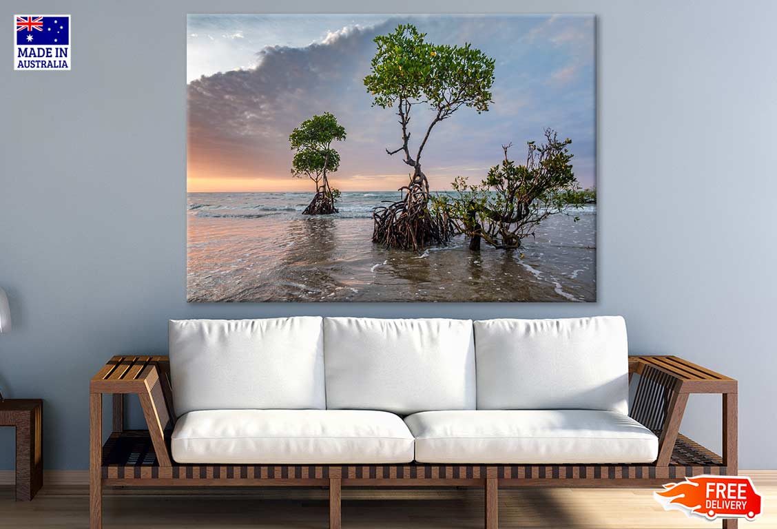 Trees in Sea Sunset Photograph Print 100% Australian Made