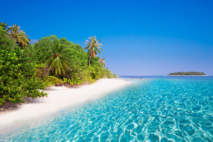 Island Sandy Beach & Palm Trees View Photograph Home Decor Premium Quality Poster Print Choose Your Sizes