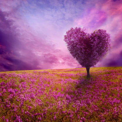 Square Canvas Purple Heart Shape Tree View High Quality Print 100% Australian Made