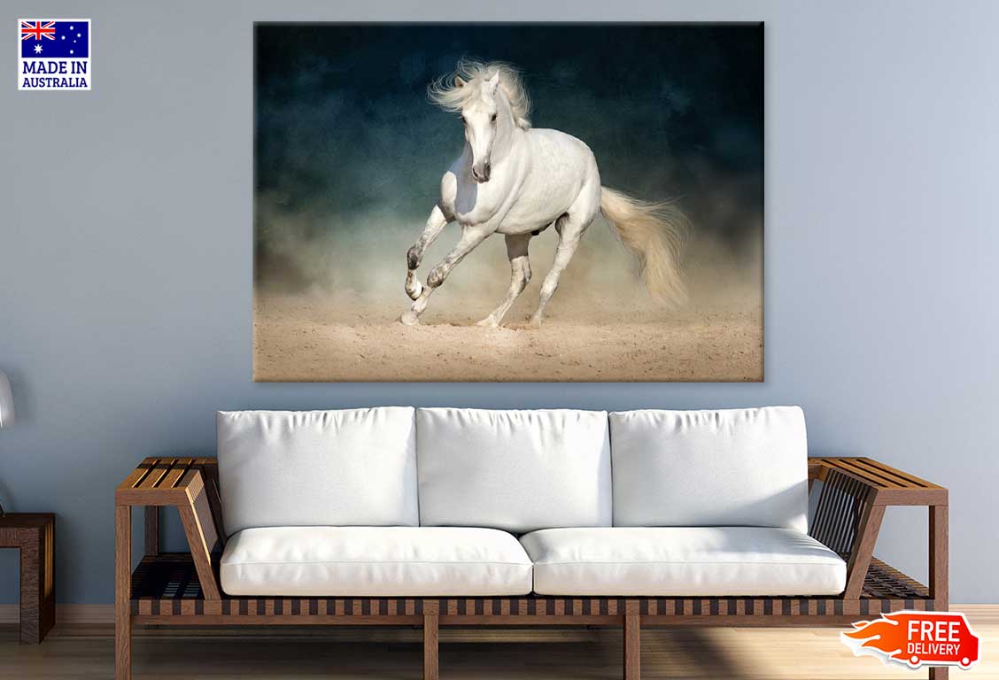 Running White Horse Photograph Print 100% Australian Made