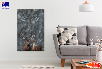 Deers In Forest & Winter View Photograph Print 100% Australian Made
