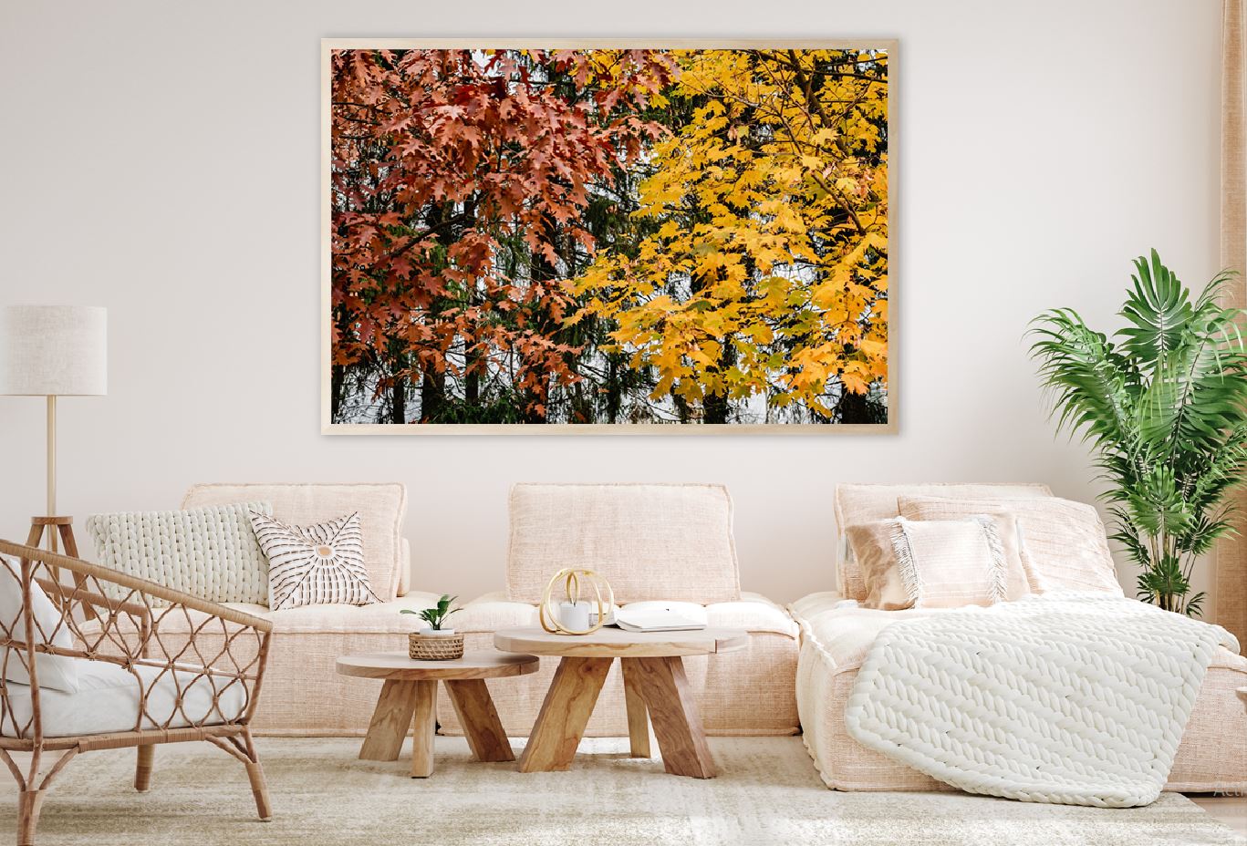 Orange Yellow Autumn Leaves Trees View Photograph Home Decor Premium Quality Poster Print Choose Your Sizes