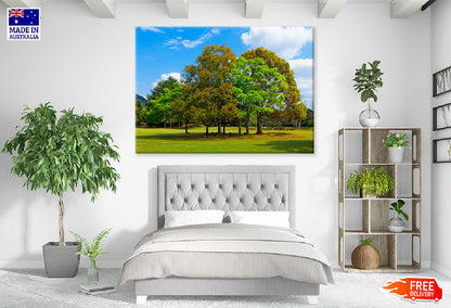 Casuarina Trees Green Field View Photograph Print 100% Australian Made