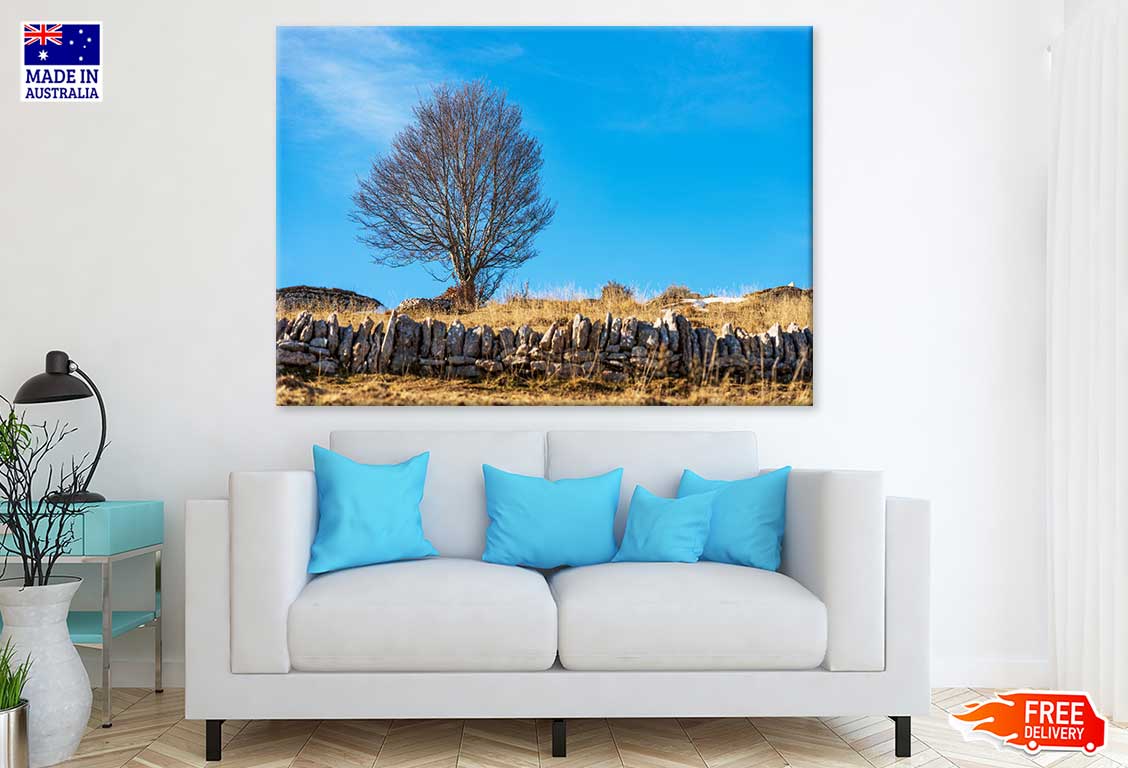 Bare Beech Tree & Stone Wall View Photograph Print 100% Australian Made