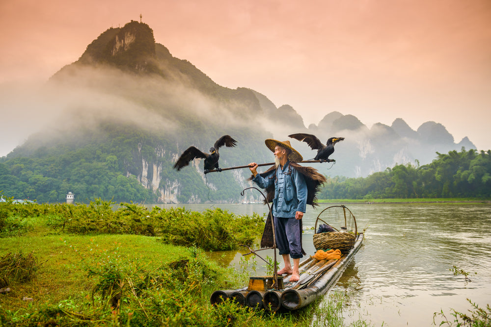 Wallpaper Murals Peel and Stick Removable A Traditional Fisherman on the Li River Yangshuo, China High Quality