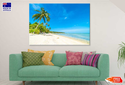 Palm Trees near Sea with Blue Sky Photograph Print 100% Australian Made