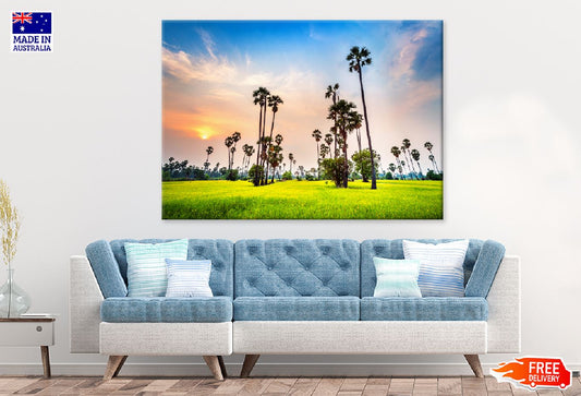 Palm Trees on Rice Field View Photograph Print 100% Australian Made