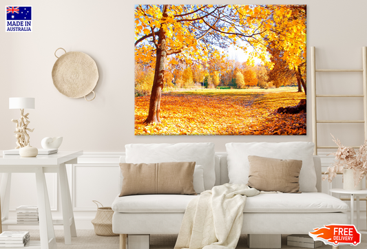 Autumn Trees & Sunset View Photograph Print 100% Australian Made