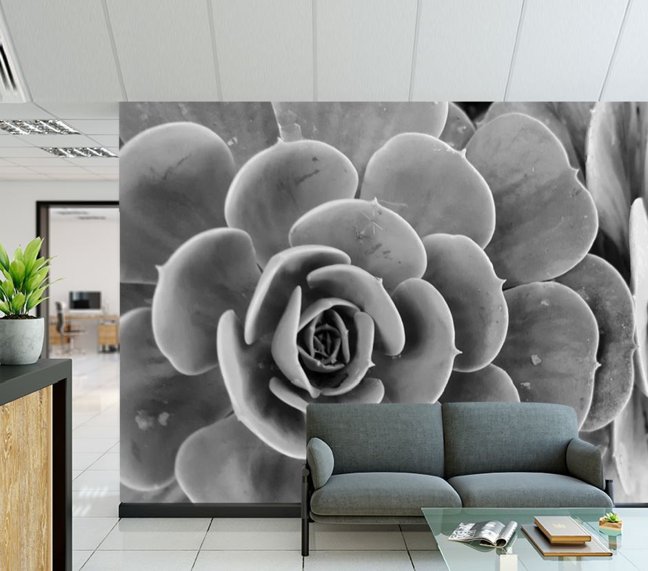 Wallpaper Murals Peel and Stick Removable Flower Closeup B&W Photograph High Quality