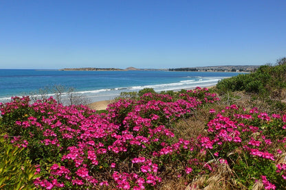 Blooming Flowers in Sea Shore Photograph Print 100% Australian Made
