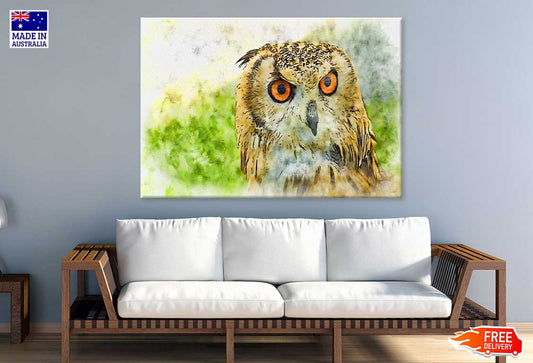 Orange Eye Owl Watercolor Painting Print 100% Australian Made