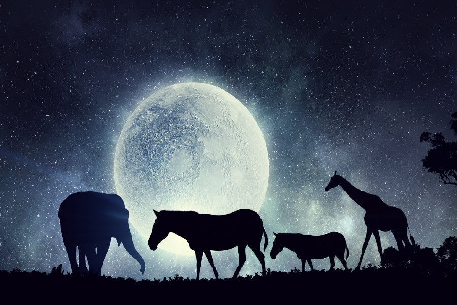 Full Moon Sky & Animals Digital Photograph Print 100% Australian Made