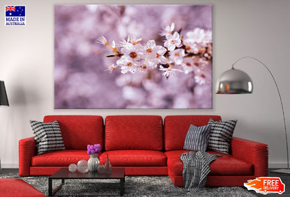 White Cherry Blossom Flower Closeup Photograph Print 100% Australian Made