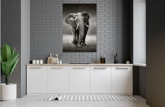 Black and white Elephants Stunning Print 100% Australian Made