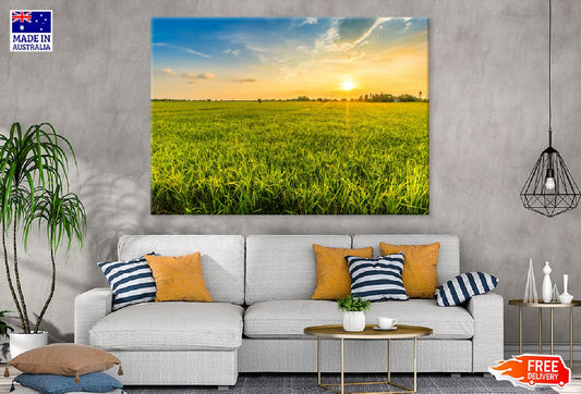Green Field Landscape Sunrise Photograph Print 100% Australian Made