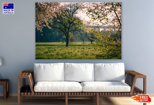 Spring Trees Garden View Photograph Print 100% Australian Made