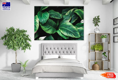 Deep Green Plant Leaves View Photograph Print 100% Australian Made