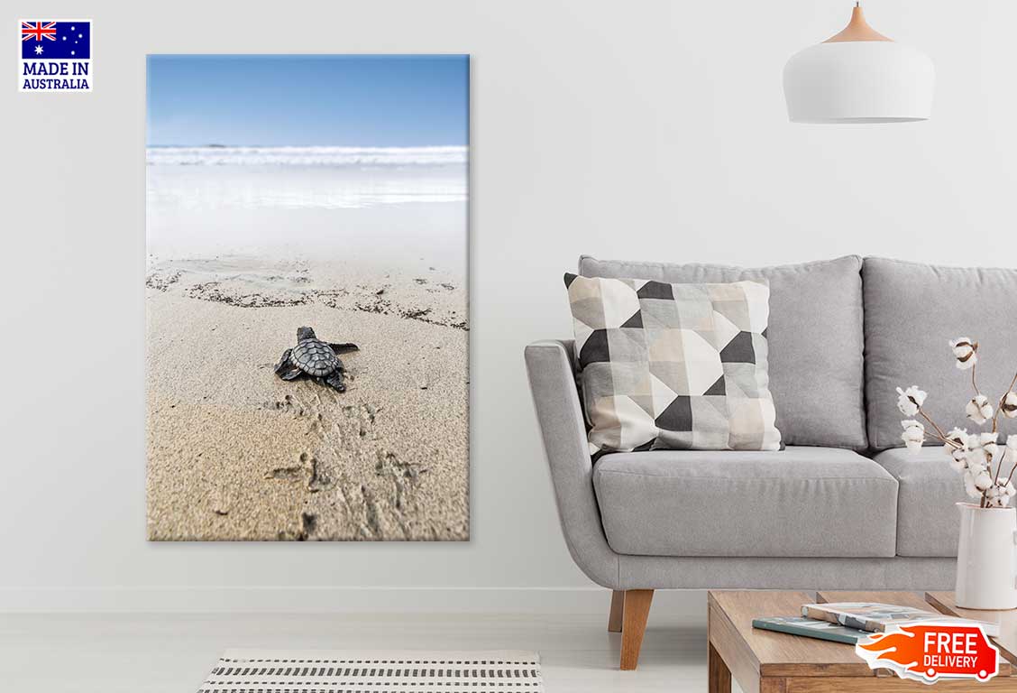 Sea Turtle on Beach Sand View Photograph Print 100% Australian Made