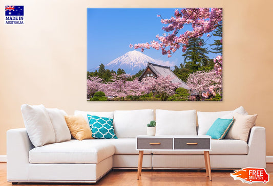 Mountain Fujinomiya View Photograph Japan Print 100% Australian Made