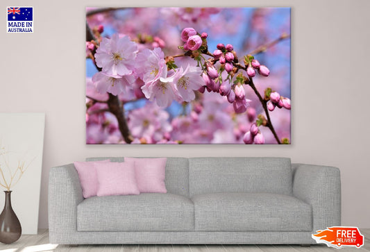 Pink Blossom Flowers Closeup Photograph Print 100% Australian Made