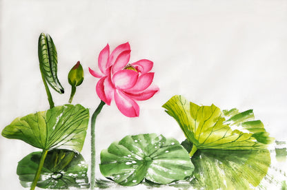 Wallpaper Murals Peel and Stick Removable Lotus Flower Watercolor Painting High Quality