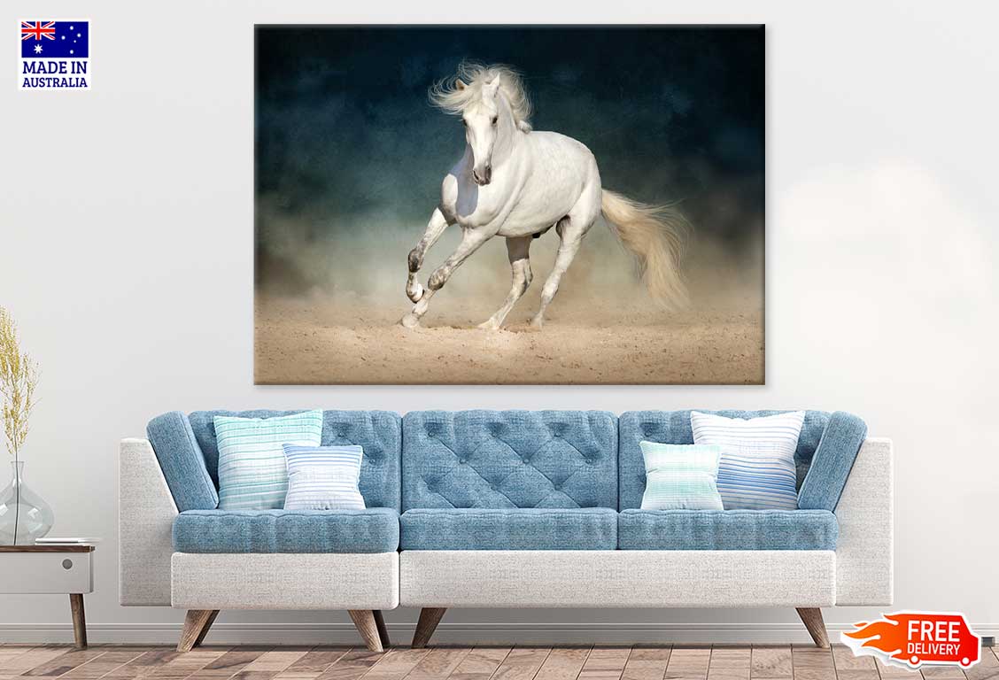 Running White Horse Photograph Print 100% Australian Made