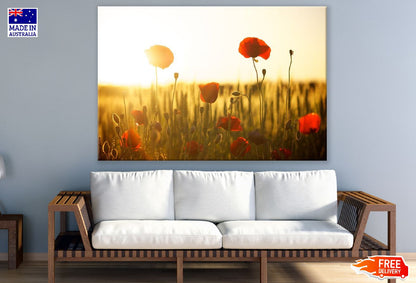 Red Poppy Flowers Sunset Photograph Print 100% Australian Made